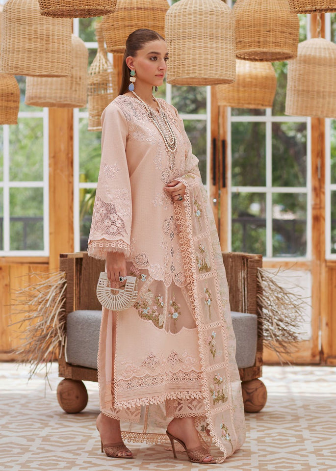 Branded Summer Luxury Collection with light Peach colour