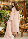 Branded Summer Clothing with light Pink Colour