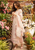 Branded Summer Clothing with light Pink Colour