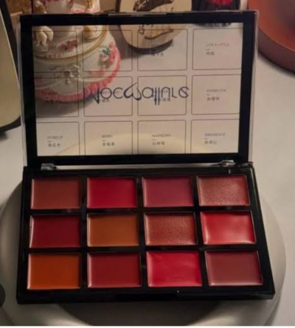 Mocallure-12-color-lip-palette-long-lasting lip kit