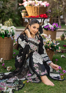 Summer Luxury Collection