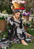 Summer Luxury Collection