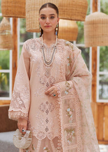 Branded Summer Luxury Collection with light Peach colour