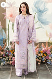 Summer Luxury Collection